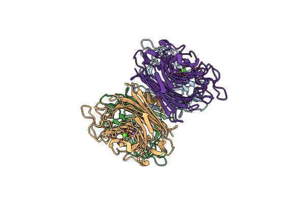 3IPV image