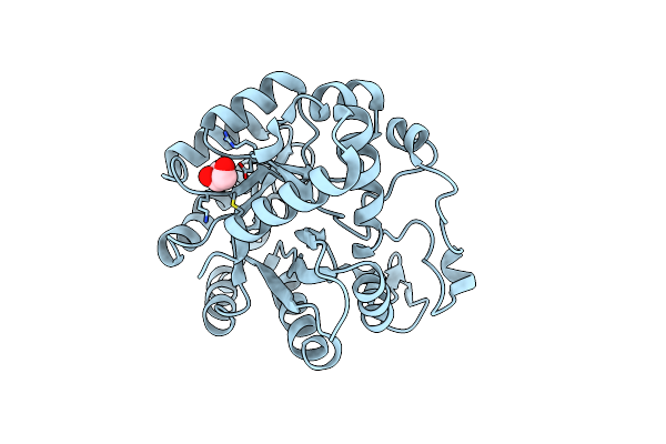 3IPW image