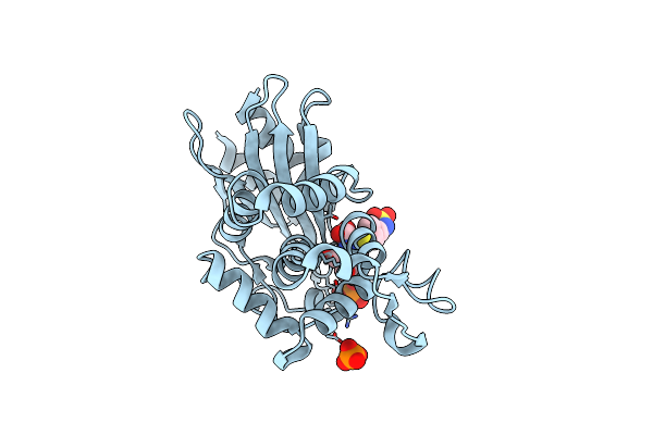 3IQA image
