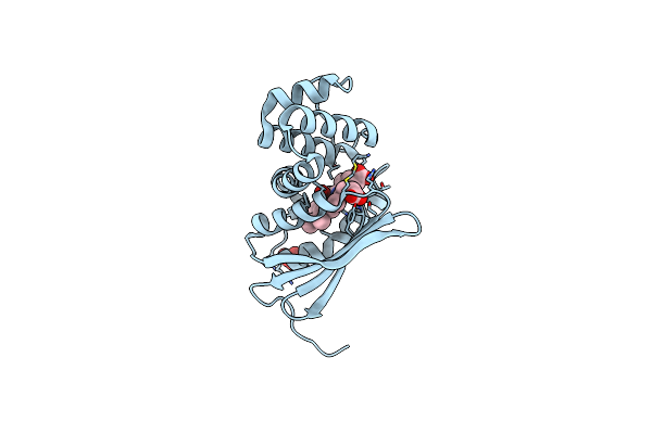 3IQB image