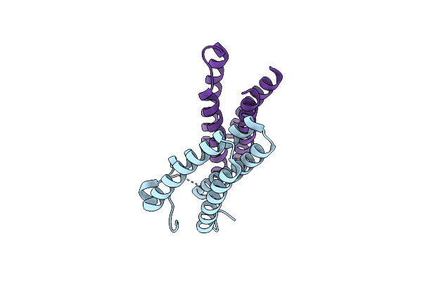 3IQC image