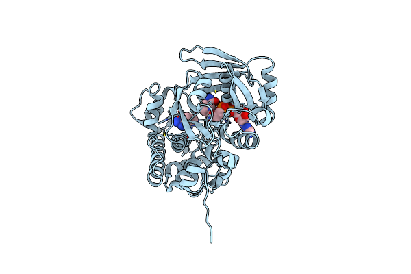3IQD image