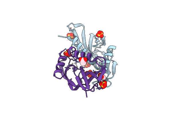 3IRB image