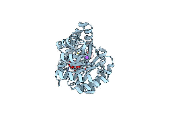 3IRD image