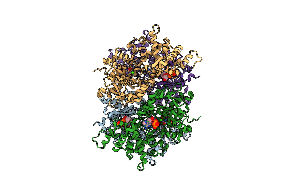 3IRH image
