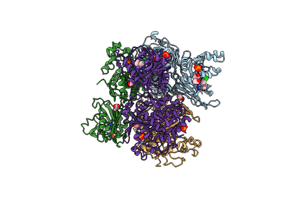 3IRM image
