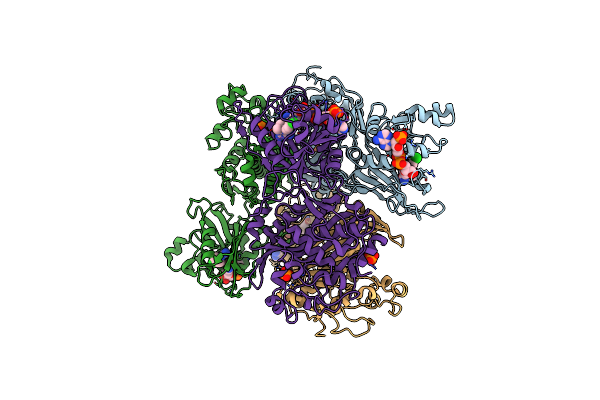 3IRN image