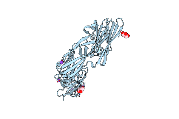 3IRP image