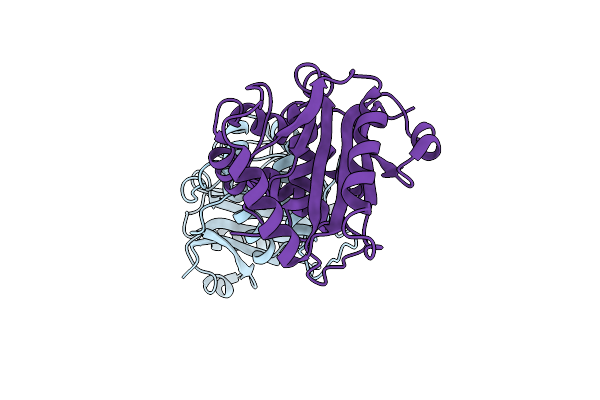 3IRT image