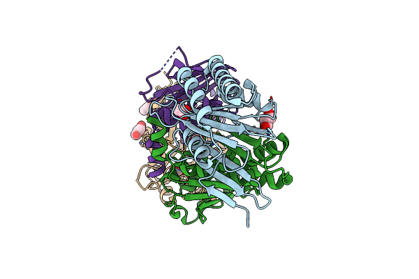 3IT4 image