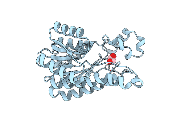 3ITD image