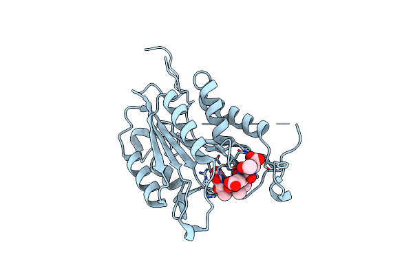3ITN image
