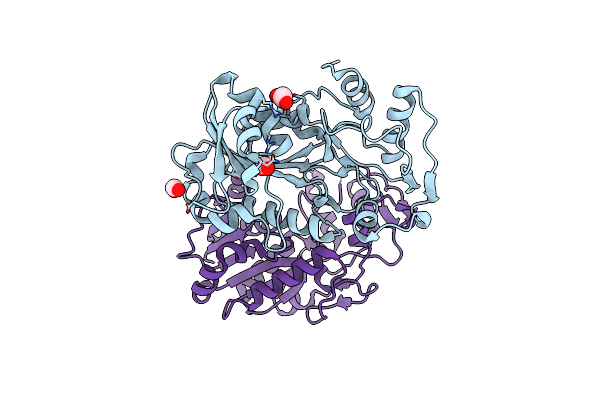 3IUS image