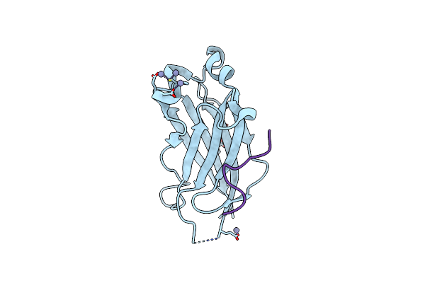3IVB image