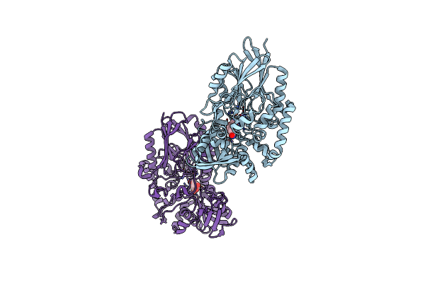 3IVD image