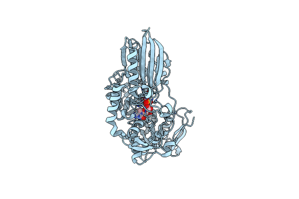 3IVE image