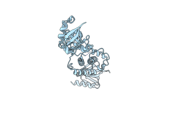 3IVF image