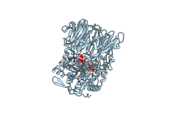 3IVM image