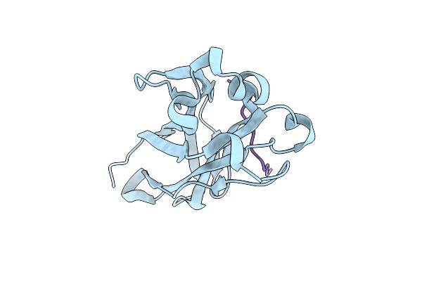 3IVV image