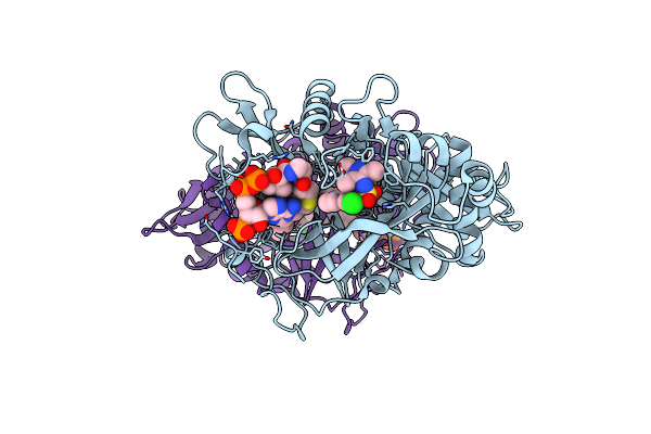 3IWE image