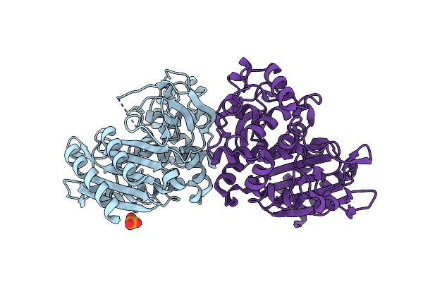3IWI image