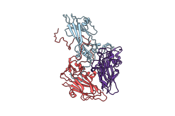 3J2J image