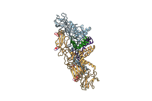 3J2P image