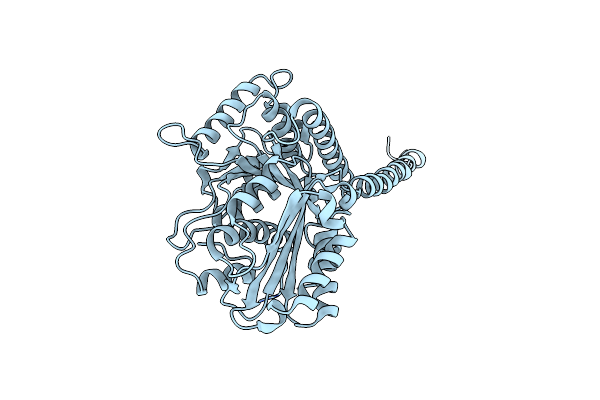 3J4T image