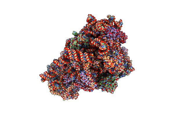 3J6B image