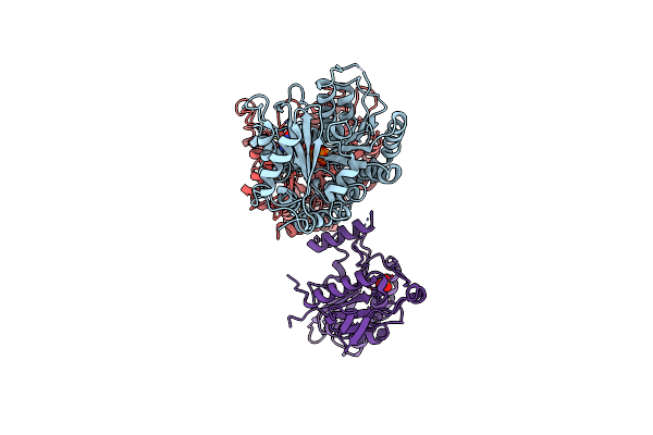 3J6H image