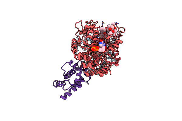 3J6P image