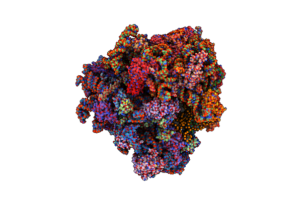 3J6X image