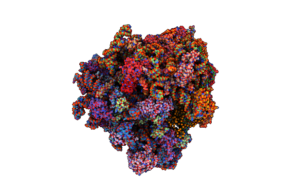 3J6Y image