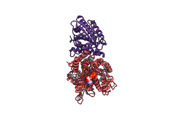3J8X image