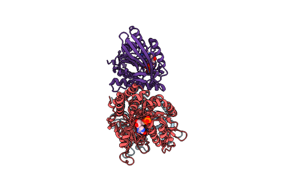 3J8Y image