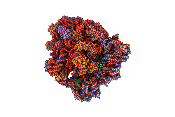 3J9W image