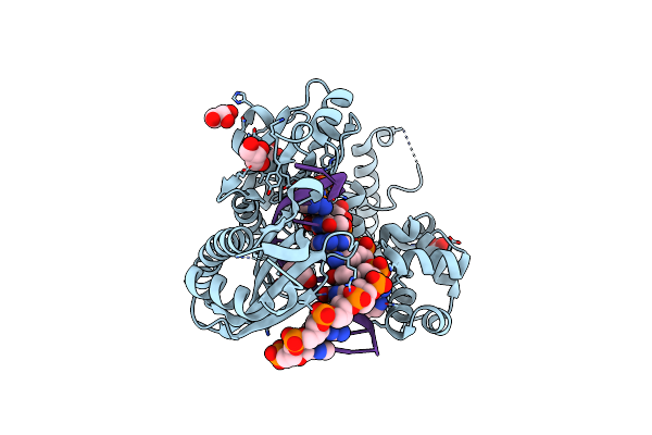 3JAA image