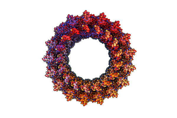 3JC1 image