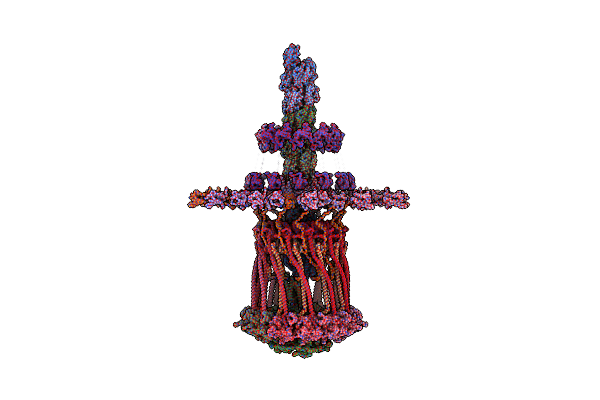 3JC8 image