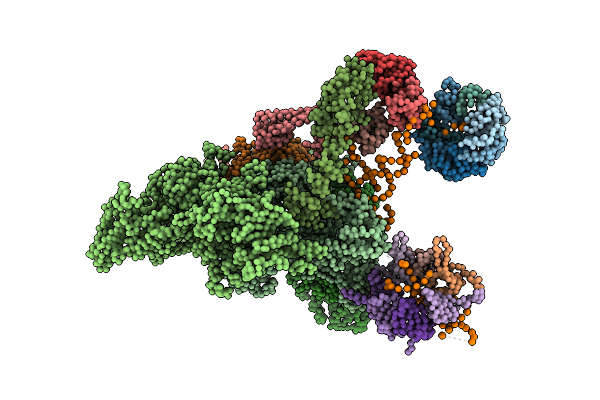 3JCR image