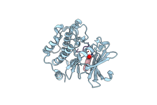 3JPV image