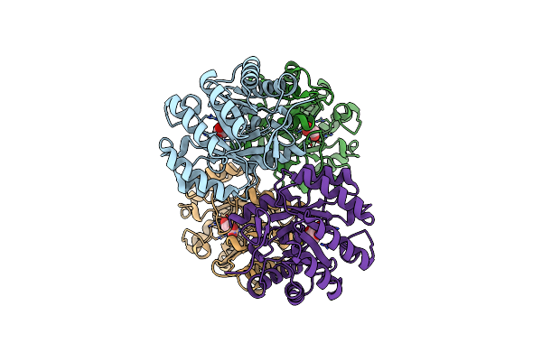 3JS3 image