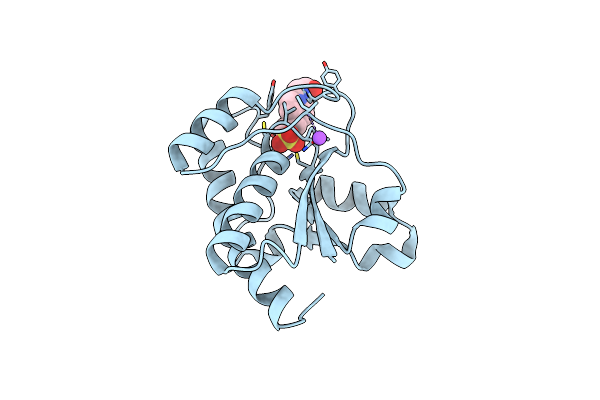 3JS5 image