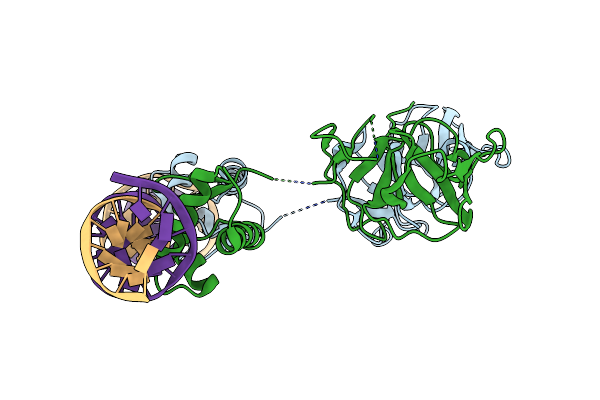 3JSP image