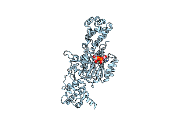 3JSZ image