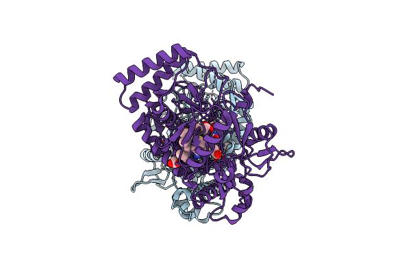 3JTA image