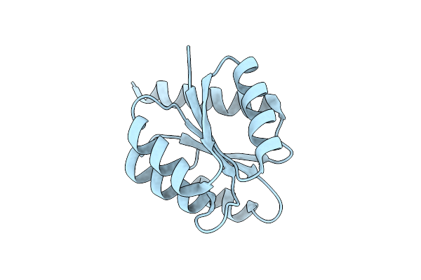 3JTE image
