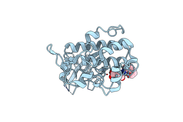 3JVS image