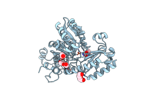 3JWB image