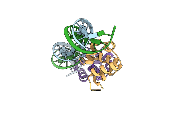 3JXB image